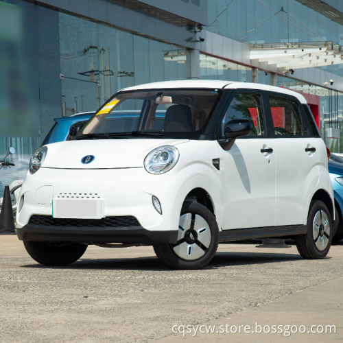 Left Hand Adult Car Chinese Vehicles High Quality Low Price In Stock New Energy Vehicle